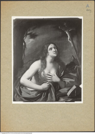 Vorderseite von bh137293_recto