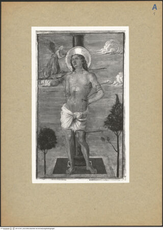 Vorderseite von bh137297_recto