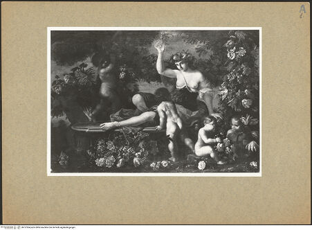 Vorderseite von bh137504_recto