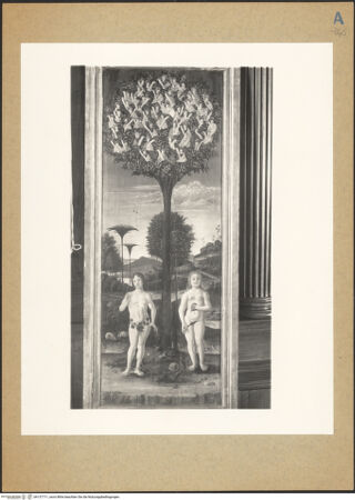 Vorderseite von bh137711_recto