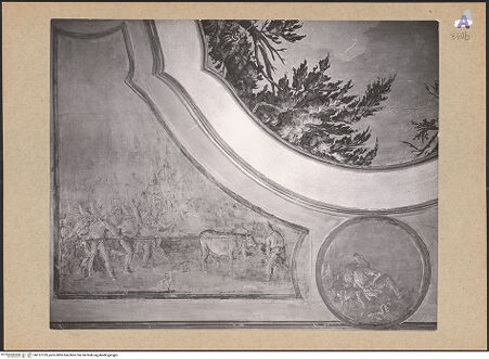 Vorderseite von bh137733_recto