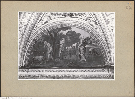 Vorderseite von bh137800_recto