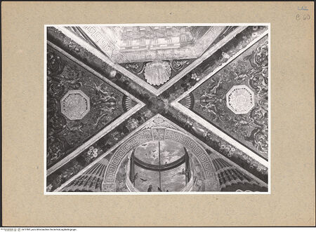 Vorderseite von ICCD [https://www.deutsche-digitale-bibliothek.de/content/lizenzen/rv-ez/] Illusionistische Architekturen, Marinelandschaften und allegorische FigurenGroteskendekoration und illustionistische Volierenkuppeln - Detail: Girlanden, Grotesken und Muschelornament , bh137881_recto. Foto.