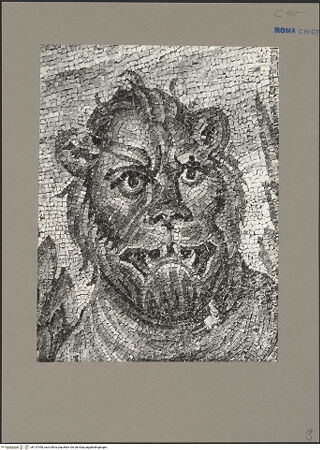 Vorderseite von bh137950_recto