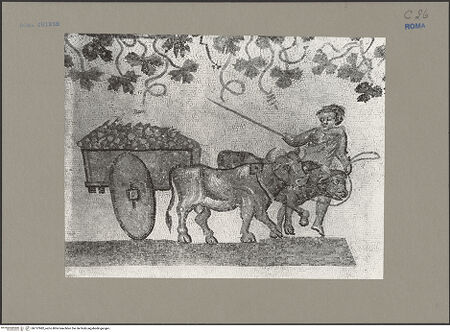 Vorderseite von Sopr.Mon.Lazio [https://www.deutsche-digitale-bibliothek.de/content/lizenzen/rv-ez/] Mosaik mit Weinleseszene - Detail, bh137982_recto. Foto.