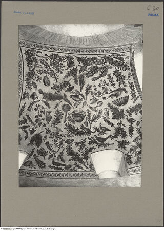 Vorderseite von Sopr.Mon.Lazio [https://www.deutsche-digitale-bibliothek.de/content/lizenzen/rv-ez/] Mosaik mit Pflanzen, Vögeln und weiteren Motiven - Gesamtaufnahme, bh137983_recto. Foto.