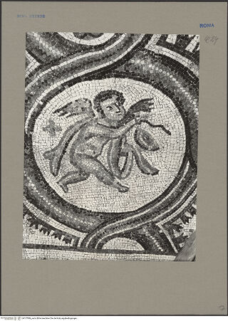 Vorderseite von Sopr.Mon.Lazio [https://www.deutsche-digitale-bibliothek.de/content/lizenzen/rv-ez/] Mosaik mit Amoretten und Vögeln - Detail, bh137986_recto. Foto.