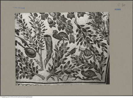 Vorderseite von Sopr.Mon.Lazio [https://www.deutsche-digitale-bibliothek.de/content/lizenzen/rv-ez/] Mosaik mit Pflanzen, Vögeln und weiteren Motiven - Detail, bh137987_recto. Foto.