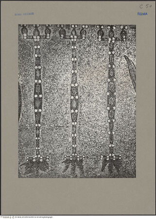 Vorderseite von bh138008_recto