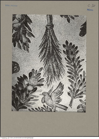 Vorderseite von Sopr.Mon.Lazio [https://www.deutsche-digitale-bibliothek.de/content/lizenzen/rv-ez/] Mosaik mit Pflanzen, Vögeln und weiteren Motiven - Detail, bh138013_recto. Foto.