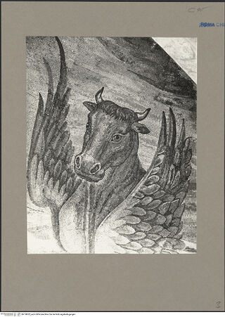 Vorderseite von bh138032_recto