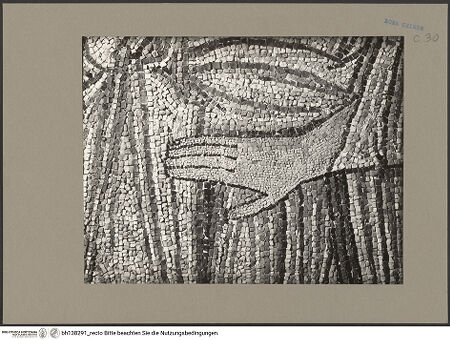 Vorderseite von bh138291_recto