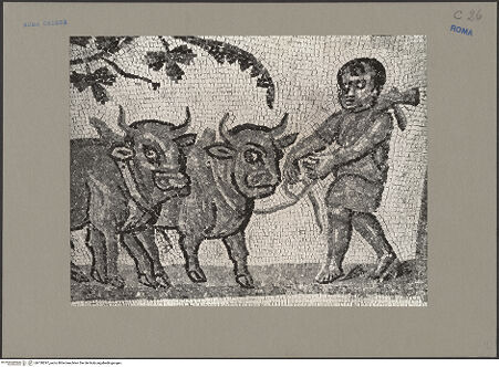 Vorderseite von Sopr.Mon.Lazio [https://www.deutsche-digitale-bibliothek.de/content/lizenzen/rv-ez/] Mosaik mit Weinleseszene - Detail, bh138297_recto. Foto.