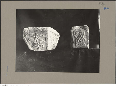 Vorderseite von bh138348_recto