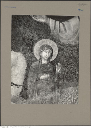 Vorderseite von bh138392_recto