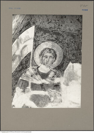 Vorderseite von bh138393_recto