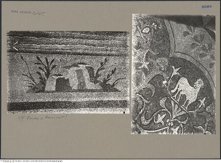 Vorderseite von bh138437-1_bh138437-2_recto