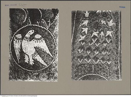 Vorderseite von bh138438-1_bh138438-2_recto