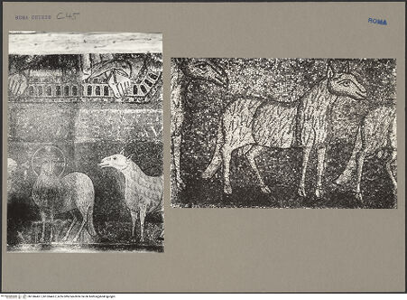 Vorderseite von bh138443-1_bh138443-2_recto