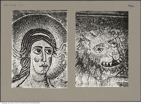 Vorderseite von bh138446-1_bh138446-2_recto