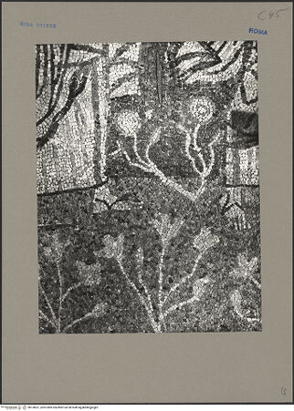 Vorderseite von bh138531_recto