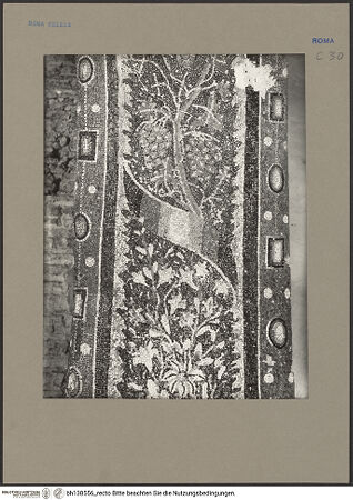 Vorderseite von bh138556_recto