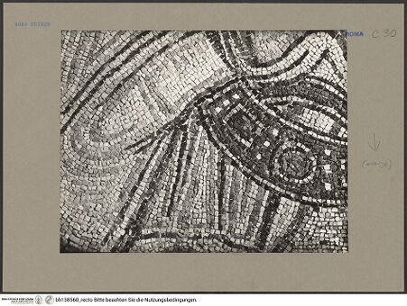 Vorderseite von bh138560_recto