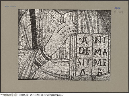 Vorderseite von bh138561_recto