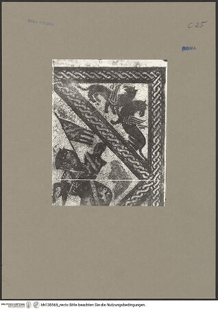 Vorderseite von bh138565_recto