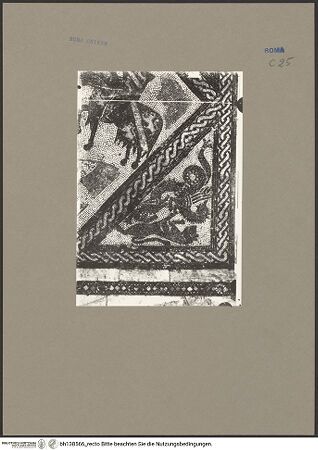 Vorderseite von bh138566_recto