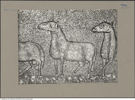 Vorderseite von bh138608_recto