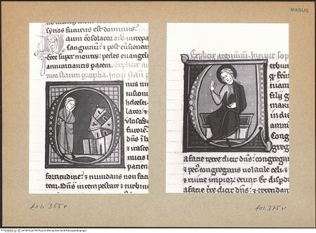 Vorderseite von bh138725_bh138726_recto