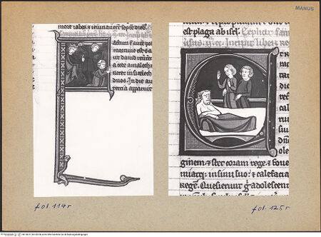 Vorderseite von bh138757_bh138758_recto