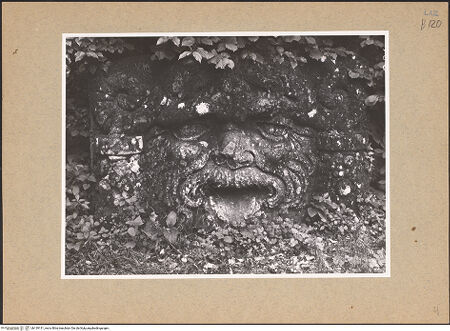 Vorderseite von bh139131_recto