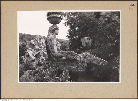 Vorderseite von bh139134_recto