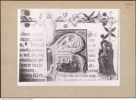 Vorderseite von bh139282_recto