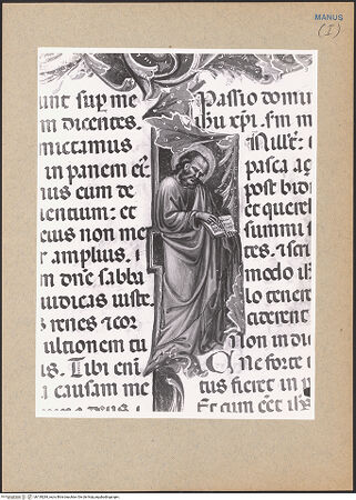 Vorderseite von bh139284_recto