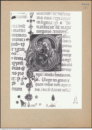 Vorderseite von bh139294_recto