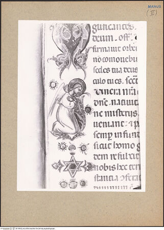 Vorderseite von bh139302_recto