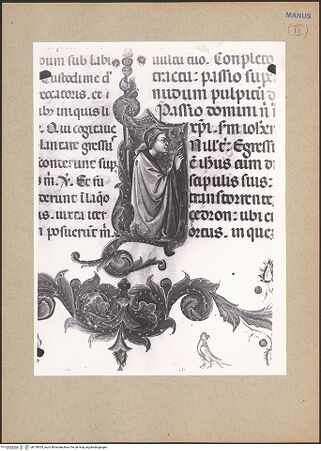 Vorderseite von bh139303_recto