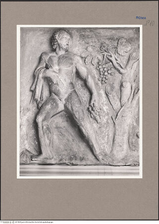 Vorderseite von bh139435_recto