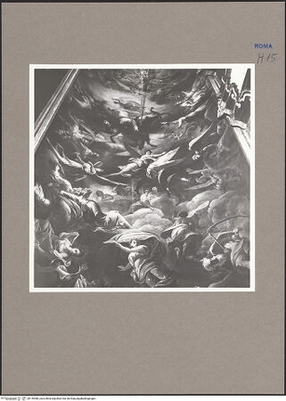 Vorderseite von bh139486_recto