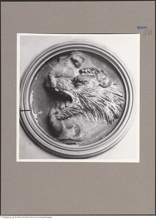 Vorderseite von bh139497_recto