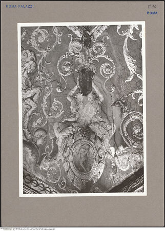 Vorderseite von bh139646_recto