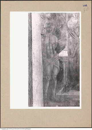 Vorderseite von bh139876_recto