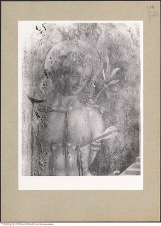 Vorderseite von bh139878_recto