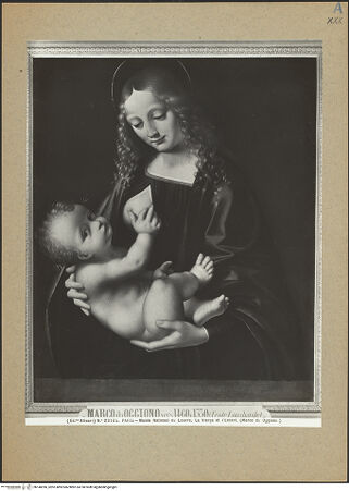 Vorderseite von bh140396_recto