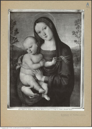 Vorderseite von bh140461_recto