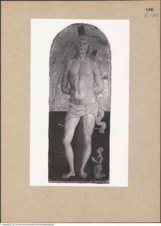 Vorderseite von bh141083_recto