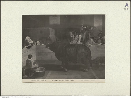 Vorderseite von bh141120_recto